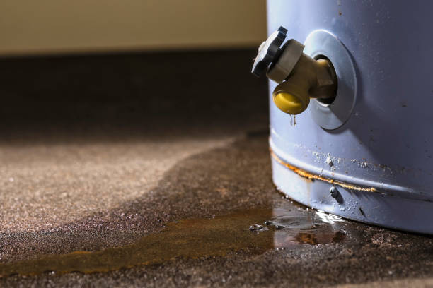 Best Mold removal after water damage  in Worth, IL