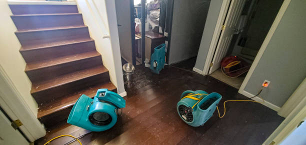 Best Flood damage cleanup  in Worth, IL
