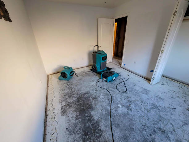 Best Commercial water damage restoration  in Worth, IL