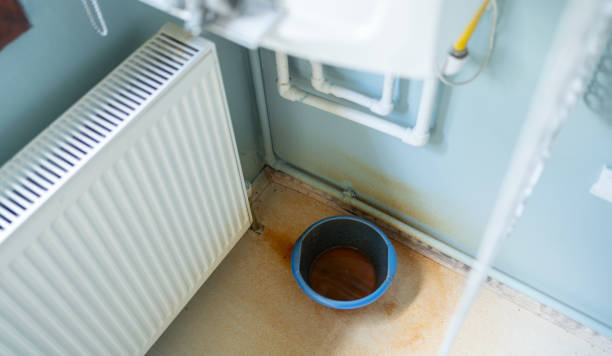 Best Water damage contractors near me  in Worth, IL