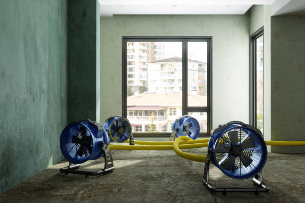 Best Fire Damage Restoration  in Worth, IL